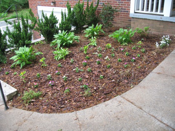 Garden in April Garden in April