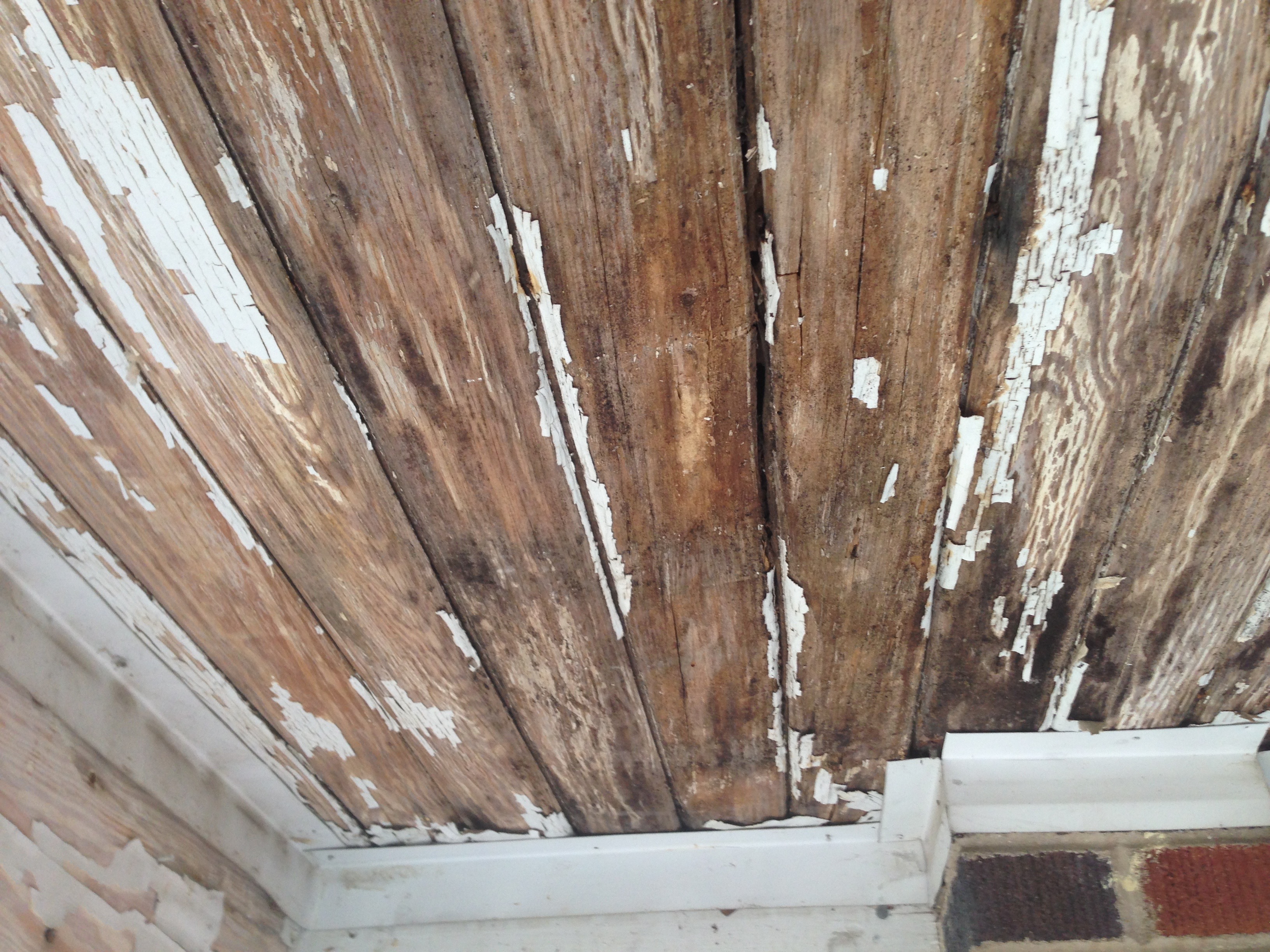 Rotten Tongue And Groove Ceiling